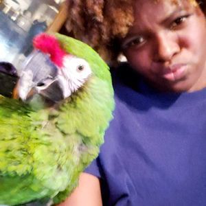 Meet your Posher, Monique-hottchic